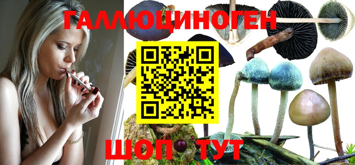 Галлюциногенные грибы мухоморы Барабинск