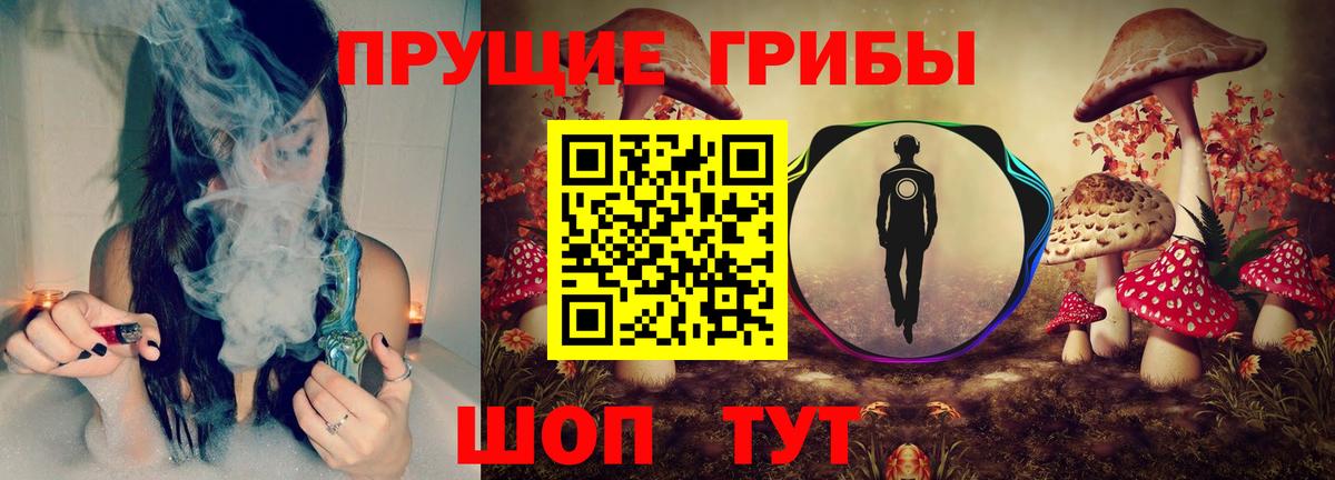 Псилоцибиновые грибы MAGIC MUSHROOMS  Псилоцибиновые грибы GOLDEN TEACHER  Вход с VPN  дарнет шоп  Барабинск 